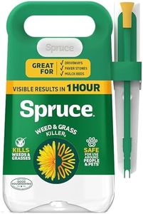 Spruce Wee