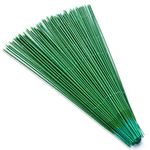 100 Pieces 10 inch Floral Stem Wire 18 Gauge, Dark Green stem Wire for Flowers, Premium Floral Wire for Handcrafts, Florist Flower Arrangements, Flower Making Supplies (10in)