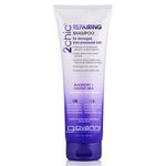 GIOVANNI- 2chic Repairing Shampoo- Dual Repairing Complex For Damaged Overprocessed Hair (8.5 Ounce Size)