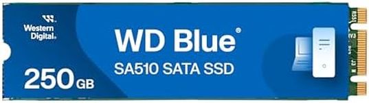 Western Digital 250GB WD Blue SA510