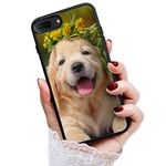 for iPhone 6 Plus, iPhone 6S Plus, Durable Protective Soft Back Case Phone Cover, HOT13678 Dog Puppy Golden Retriever 13678