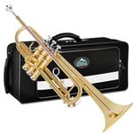 Eastrock Gold Trumpet Brass Standard Bb Trumpet Set for Beginnner, Student with Hard Case, Gloves, 7C Mouthpiece, Trumpet Cleaning Kit-Lacquer Gold