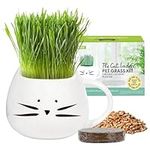 The Cat Ladies Cat Grass Mug Kit - Catgrass Seed for Indoor Cats - Catnip Plant Seeds, Soil, and Cat Mug Planter Accessories - Grow Kitten Cat Nip Plants - Cat Lovers Gift - White