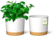 ZMTECH Plant Pots, 6.5'' Self Watering Plastic Planter with Drainage Hole and Saucer, Modern Decorative Flower Pot for Indoor Outdoor House Plants, Succulents, Flowers - White, 2 Pack