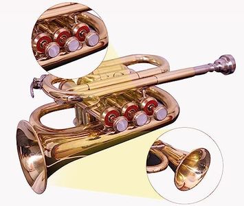 Queen Brass B-Flat Pocket Trumpet for Students and Beginners Gold Finish with 7C Mouthpiece Carrying Case Compact Brass Instrument for Practice and Travel