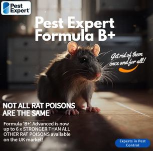 Pest Expert Rat Poison 1.2kg – Professional Rodent Killer Bait