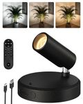 EZVALO 5500mAh Battery Powered Indoor Spotlights, Uplights for Indoor Plants, Wireless LED Picture Light for Wall, Dimmable with Remote & Timer, 3-Colour for Artwork & Tree Display (1, Black)