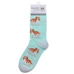 Animal Crackers Ladies Socks (Cavalier King Charles Spaniel)