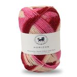 NESTNHAVEN, Wool, Horizon, Acrylic Yarn Supersoft Knitting Wool Ball, (1 Ball/100 Gram Each) Multi Colour Ball Suitable for Craft, Babywear, Baby Blankets, Shade no - NNHH001 (Multicolor 2)