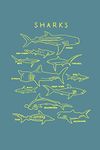 Sharks: Sh