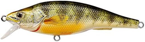 LIVE TARGET Livetarget Yellow Perch