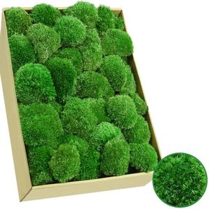 TCYPUHL 2.4 sq.ft, Green Pillow Moss Bulk Cushion Moss Preserved Pillow Bun Moss Preserved Moss Wall Art Natural Moss Decorative