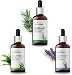 Aravi Organic Tea Tree, Lavender an