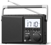 LEOTEC AM FM Radio with Bluetooth,P