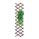 Reagia Wooden Lattice Wall Planter Garden Fence, Extra Thick Expandable Plant Climb Hanging Frame Trellis Plant Support Fence Indoor Air Plant Vertical Rack Wall Decor for Room Patio Garden