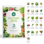 Simply Garden Vegetable Bumper Pack - for Planting Now - Grow Your Own Kit - Contains 21 Varieties of Vegetables - Over 1500 Seeds – Beetroot, Carrot, Cucumber, Lettuce Onions etc - Gift for All