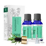 Rey Naturals Rosemary Oil For Hair Growth | Rosemary Essential Oil For Hair Growth | Rosemary Oil Essential Oil For Skin & Body | Pure Rosemary Oil | Pure Rosemary Hair Oil For Men & Women - 15ml*2