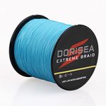 DORISEA Extreme Braid 100% Pe 1000m/1093Yards Braided Fishing Line 6-500Lb Test Fishing Wire