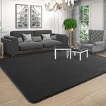 AROGAN Modern Shag Area Rug for Bedroom, 4x6 Feet Washable Rugs for Living Room, Indoor Floor Carpet Rugs, Plush Memory Foam Beside Rugs for Kids Girls Teens Room Low Pile Rug Decor, Dark Grey