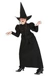 Fun Costumes Wizard of Oz Wicked Wi