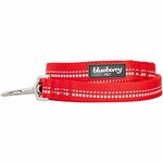 Blueberry Pet 3M Reflective Pastel Color Dog Leash with Soft & Comfortable Handle, 5 ft x 3/4", Red, Medium, Leashes for Dogs