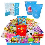 Japanese Snacks & Candy w/English Pamphlet 30 Dagashi Food Pieces Custom Bag