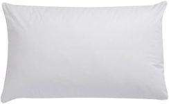 Choice Hotel Luminesse Pillow Firm 