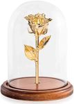 Enchanted Forever Rose | Preserved with Real 24K Gold Rose Lasts Forever | Includes Solid Wood Base & Glass Dome | 24K Gold Dipped Rose Assembled by Hand in the USA | Valentine's Day Gifts for Women