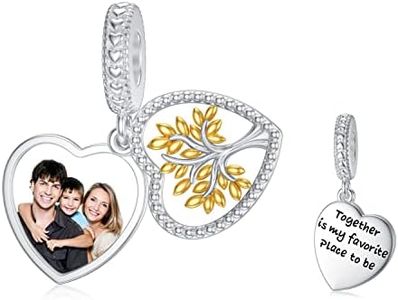 MBSUUH 925 Sterling Silver Family Tree of Life Photo Charm Bead Fit on Snake Bracelet Pendant Jewelry