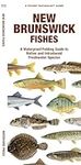 New Brunswick Fishes: A Waterproof Folding Guide to Native and Introduced Freshwater Species