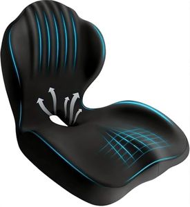 Office Chair Cushion with Lumbar Support Pillow, Memory Foam Seat Cushion for Sciatica Tailbone & Back Pain Relief, Car Seat Cushion & Back Support