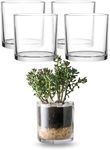 WHOLE HOUSEWARES | 5"X5" Glass Cylinder Vase | Candle Holder | Decorative Centerpiece Arrangement for Wedding Party Event Home Office Decor | Set of 4