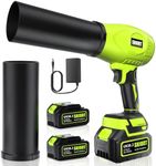 Leaf Blower Cordless with Battery a