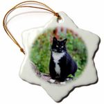 3dRose Pretty Female Black and White Tuxedo Cat on a Log Snowflake Ornament, 3"