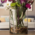 DECENT GLASS Glass Flower Vase Cylinder Wide Vase, Height 10-inch Día 6-inch (10Inch)