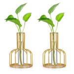 Glasseam Glass Propagation Station with Metal Frame, Set of 2 Flower Vase, Small Bud Vase for Home Kitchen Office Table Top Decor,Test Tube Vase for Hydroponic Plant (Gold)