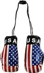 USA - Mini Boxing Gloves