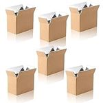 6 Pack Insulated Shipping Box for S
