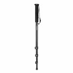 Extendable Monopod For Polaroids