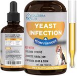 Yeast Infection Treatment for Dogs 