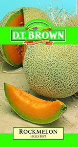 DT Brown Rockmelon Hales Best Seeds