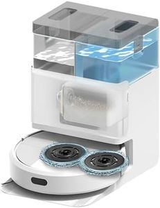 iRobot Roo