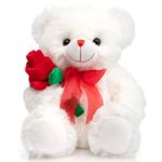 BEJOY Teddy Bear Stuffed Animal Rose Bear with Red Bow Soft Plush Toy Holiday Valentine's Day 12 Inches White