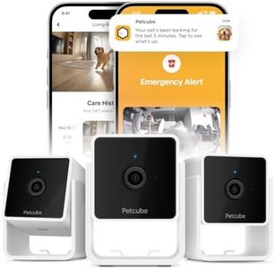 Petcube Ca