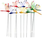 WarmShine 24 Pieces 3D Dragonfly Pl