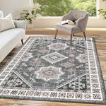 HEBE Bohemian Area Rug 4x6 Washable Bedroom Rug Indoor Non Slip Accent Throw Rugs Oriental Vintage Boho Rug Low-Pile Door Mat Floor Carpet for Entryway Bathroom Kitchen Office