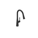 American Standard 7441300.243 Southport Pull-Down Kitchen Faucet with sprayer Matte Black