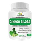 Fitness Prime Ginkgo Biloba Pure 800 mg Capsules for Healthy Brain Function, Mental Clarity & Memory Focus | Stress Buster & Improves Circulation - 60 Capsules (Pack of 1)