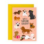 CENTRAL 23 Dog Birthday Cards For Friends - Have A Pawsome Birthday - Happy Birthday Card For Her Him - Dog Dad Fur Mom - Gifts For Pets Animals Puppy - Comes With Fun Stickers