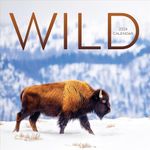 TF Publishing, Wild 2024 Yearly Wall Calendar